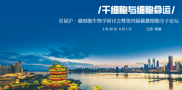 a706974d14ce2a6cc6c561123939598.png