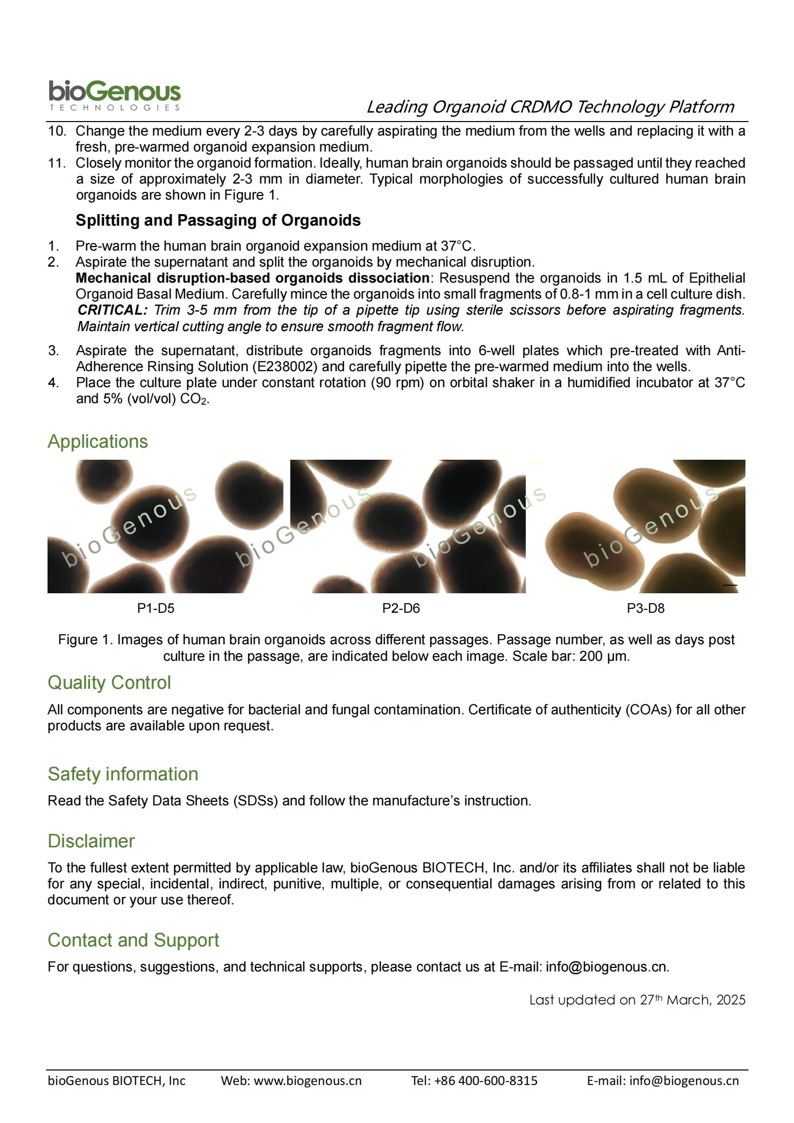 bioGenous Human Brain (Expansion) Organoid Kit (Serum-free) (K-2603)_02.jpg