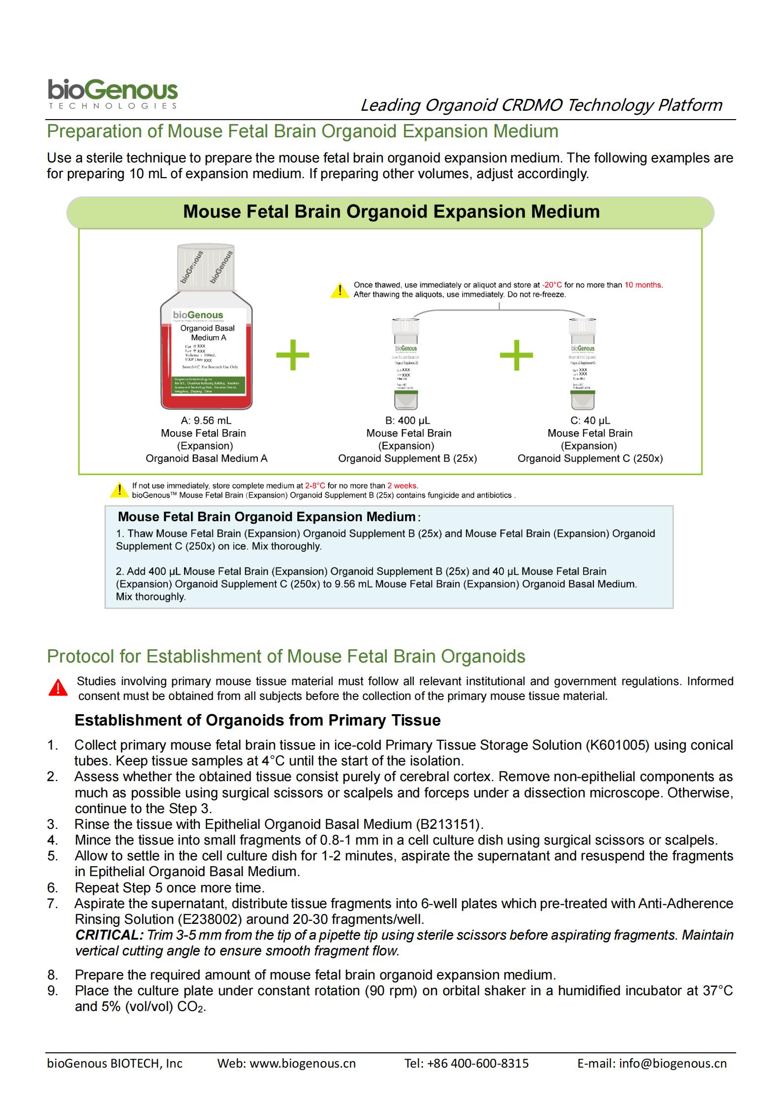 bioGenous Mouse Fetal Brain (Expansion) Organoid Kit (Serum-free) (K-2601)_01.jpg